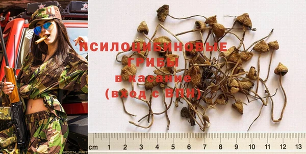 мескалин Белокуриха