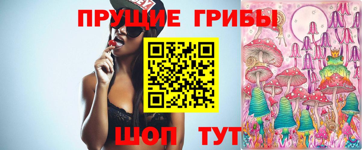 Галлюциногенные грибы Psilocybe  Вход с VPN  Галлюциногенные грибы Psilocybine cubensis  Новый Уренгой 